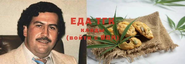 амф Алексин