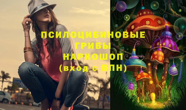 амф Алексин