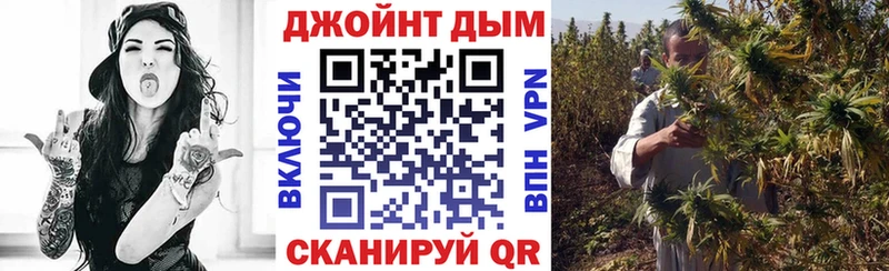 kraken Кириши даркнет какой сайт Каннабис AK-47